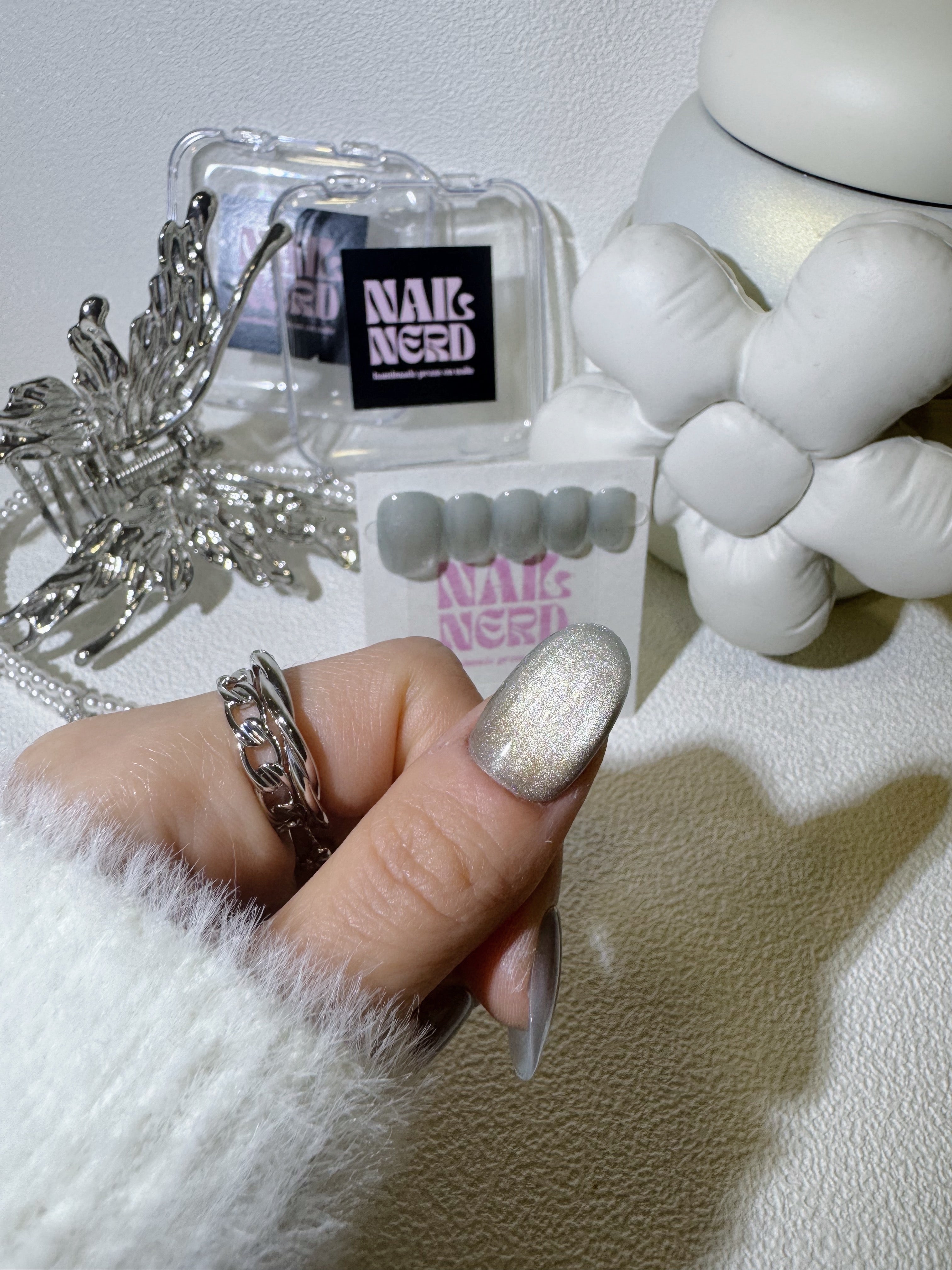 Agapanthus 'Silver Baby'